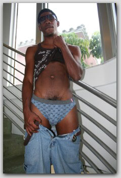 Lil Nellie Fantasy with 